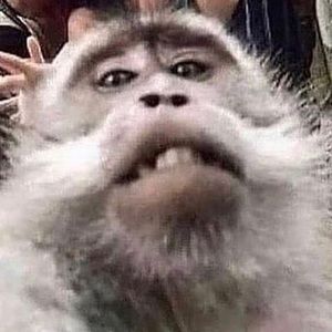 Meet your Posher, Ahmad